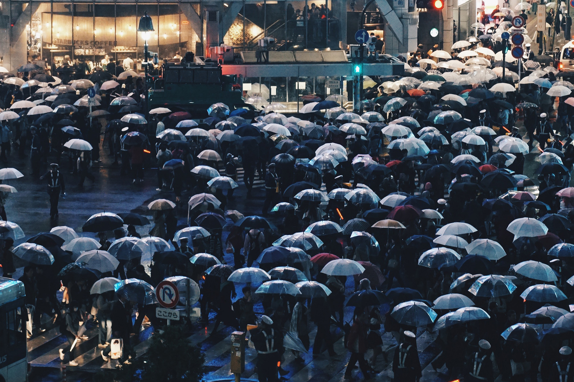 DATABASE DI MODELLI 3D visual data 6